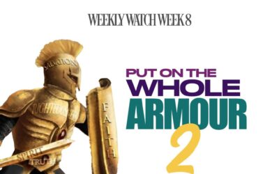 Armour of God 2