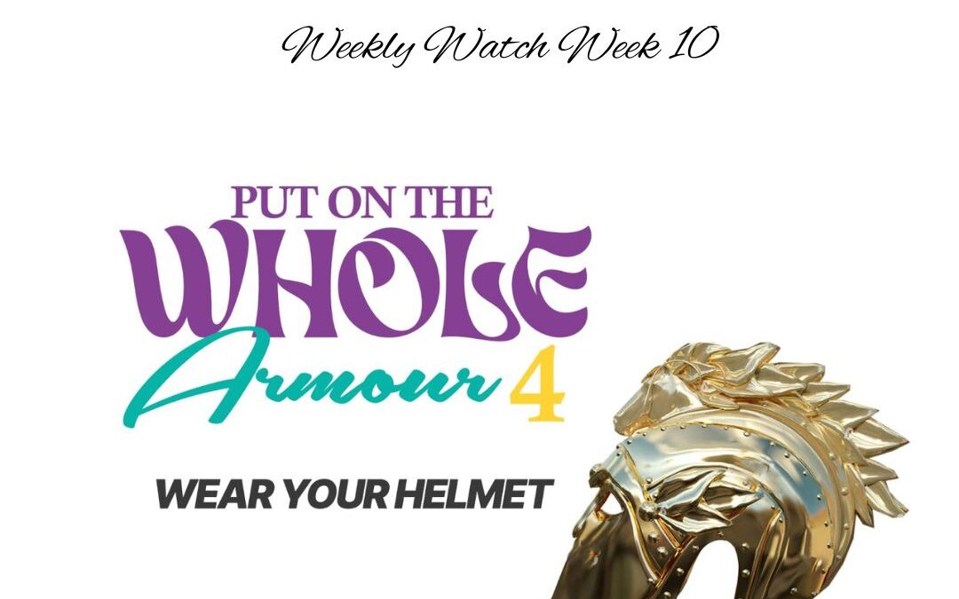 Armour of God 4 (Wear Your Helmet)