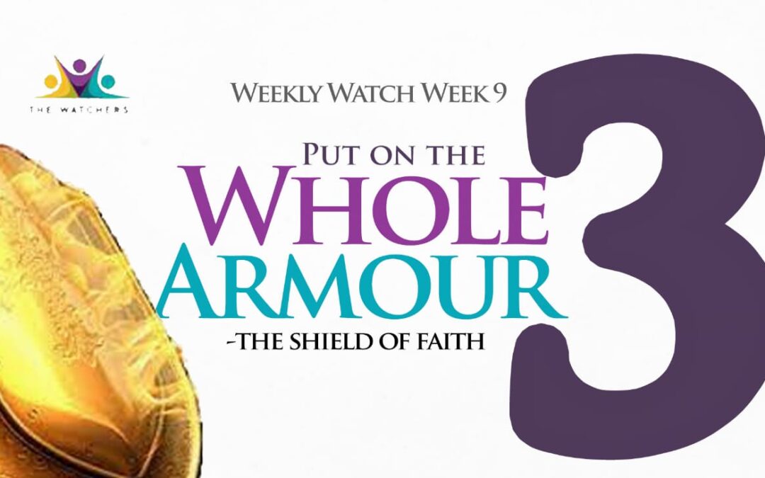 Armour of God 3 (The Shield of Faith)