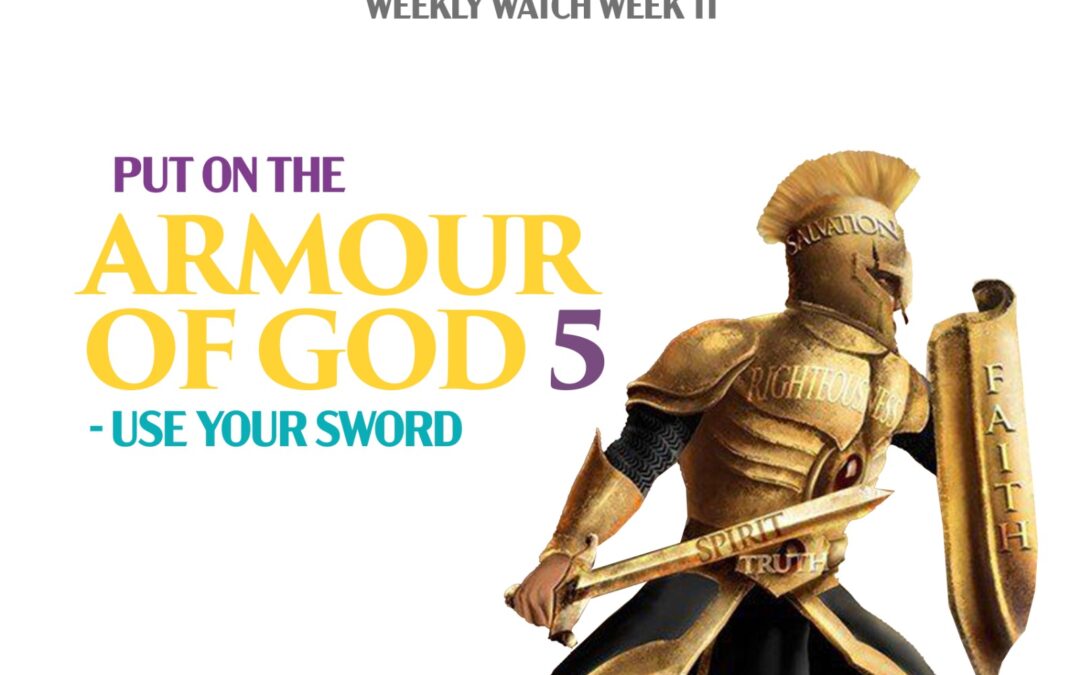 Armour of God 5 (Use Your Sword)
