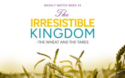 The Irresistible Kingdom – The Wheat And The Tares