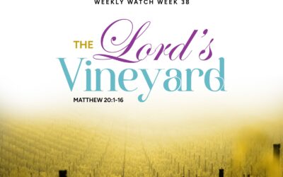 The Lord’s Vineyard