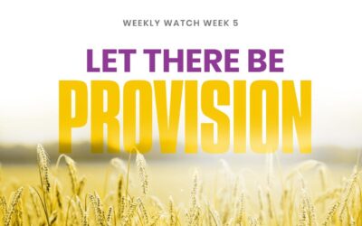 Let There Be Provision